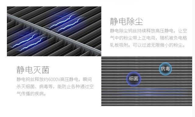 针对室内甲醛污染 这才是最好的去除办法
